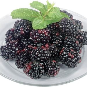 Blackberries on a Plate Food Picture