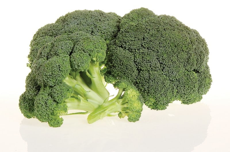 Broccoli with shadow and off white background - Prepared Food Photos, Inc.