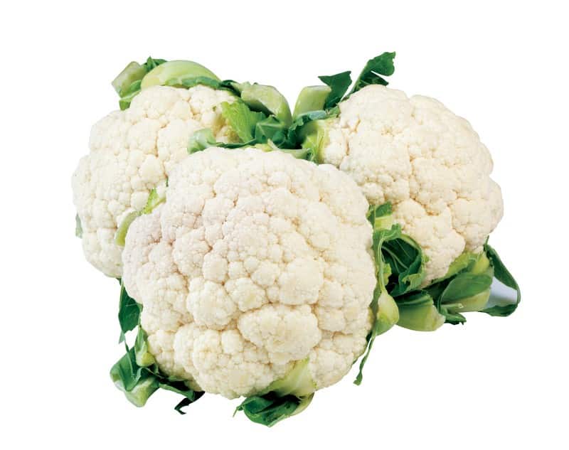 Cauliflower on White Background Food Picture