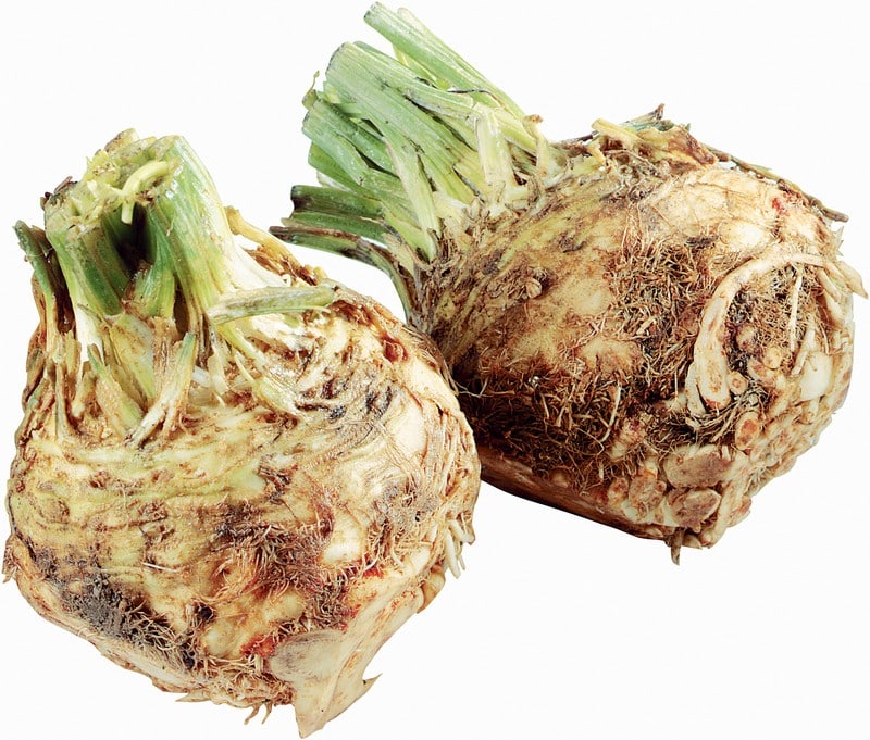 Celery Roots Isolated Food Picture
