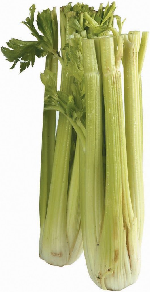 Celery Stalks Food Picture