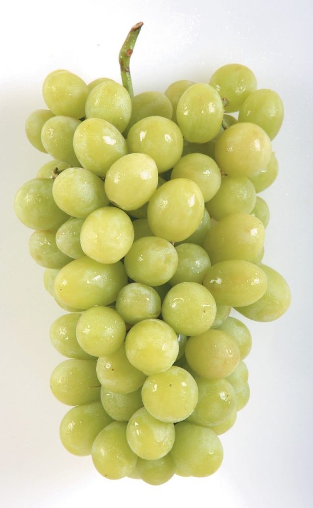 Grapes White Food Picture