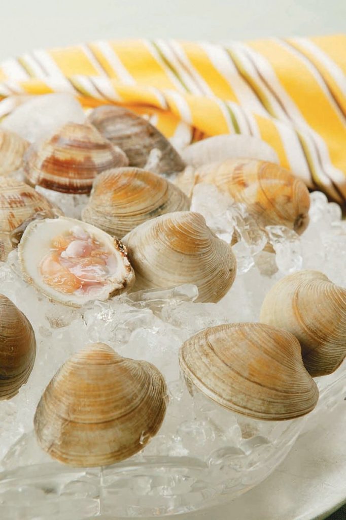 Little Neck Clams on Ice in a Glass Bowl Food Picture