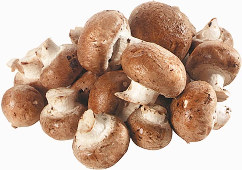 Crimini mushrooms on a white background Food Picture