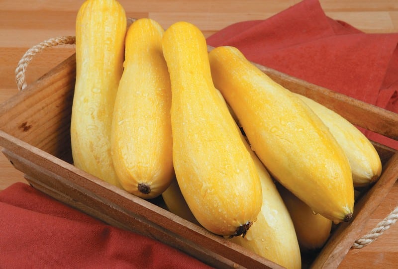 Yellow Squash in Basket Food Picture